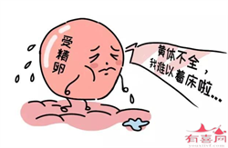 上海捐卵一般能补偿多少钱，捐卵做试管婴儿需要多少钱（上海试管婴儿捐卵供